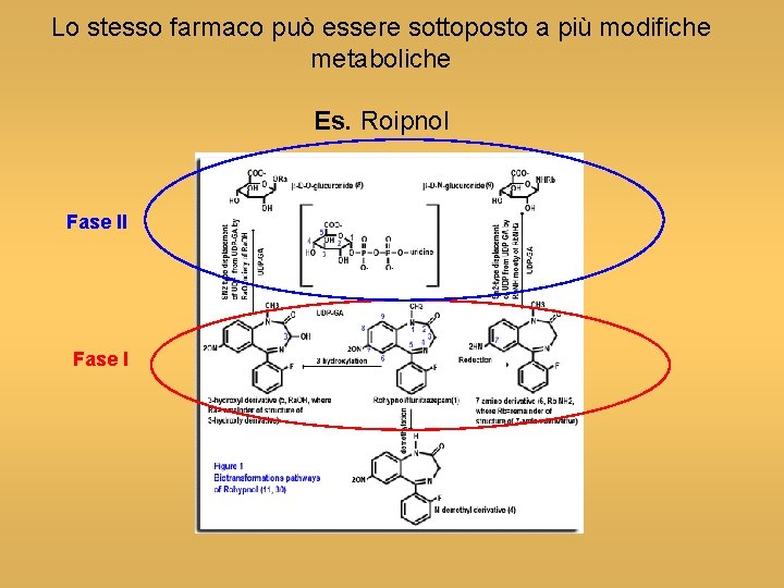 Lo stesso farmaco può essere sottoposto a più modifiche metaboliche Es. Roipnol Fase II