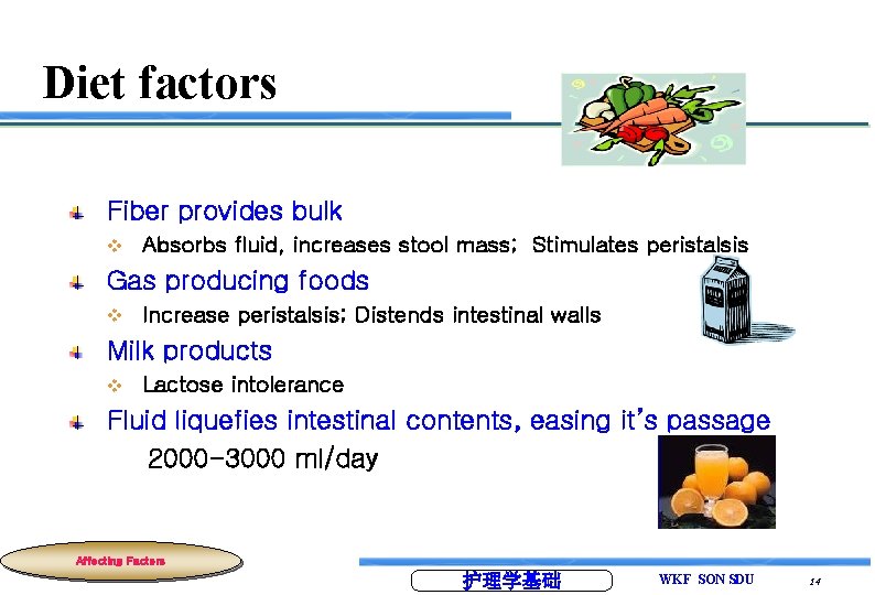 Diet factors Fiber provides bulk v Absorbs fluid, increases stool mass; Stimulates peristalsis Gas