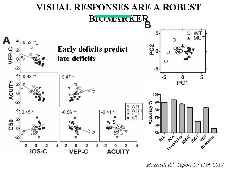 VISUAL RESPONSES ARE A ROBUST BIOMARKER Early deficits predict late deficits Mazziotti R. †, VISUAL RESPONSES ARE A ROBUST BIOMARKER Early deficits predict late deficits Mazziotti R. †,