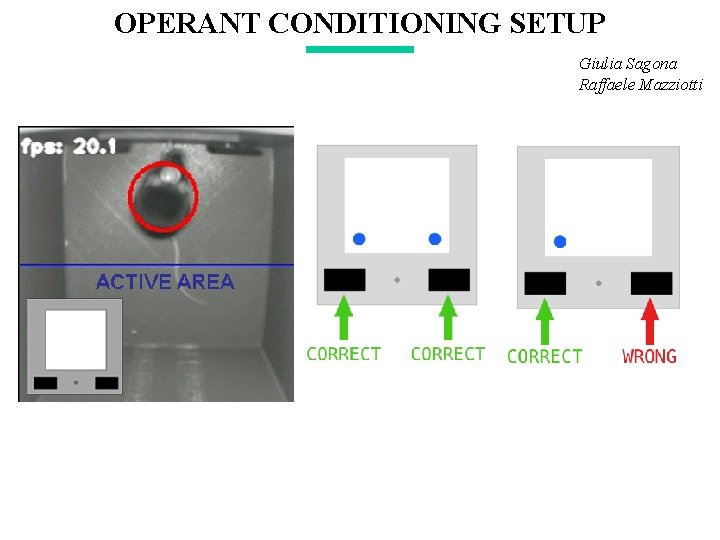 OPERANT CONDITIONING SETUP Giulia Sagona Raffaele Mazziotti 