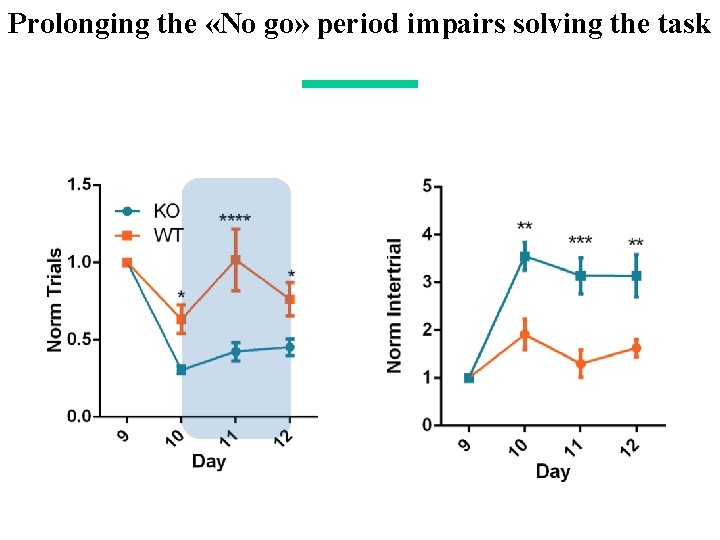 Prolonging the «No go» period impairs solving the task 
