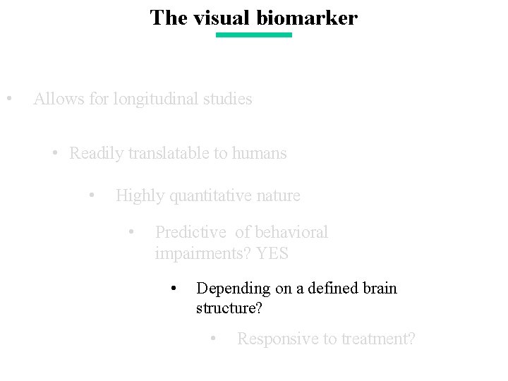 The visual biomarker • Allows for longitudinal studies • Readily translatable to humans •