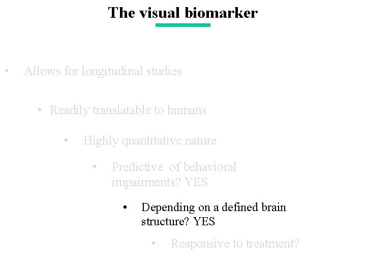 The visual biomarker • Allows for longitudinal studies • Readily translatable to humans •