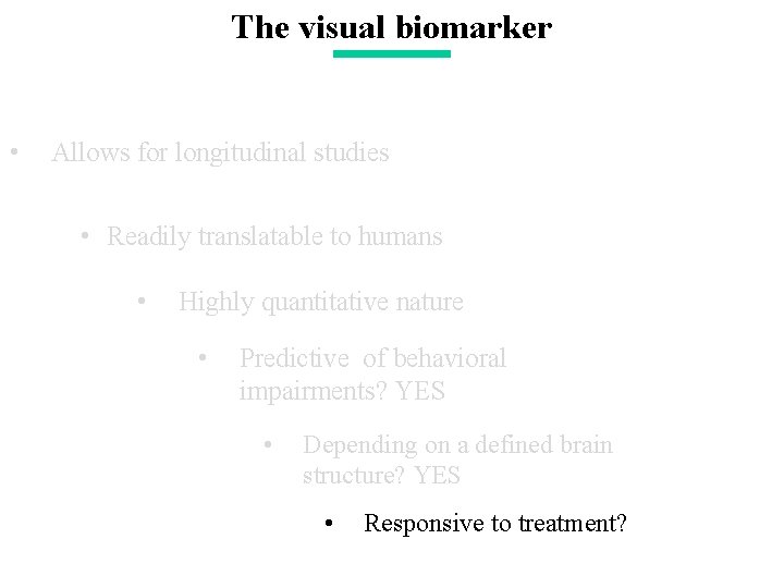 The visual biomarker • Allows for longitudinal studies • Readily translatable to humans •