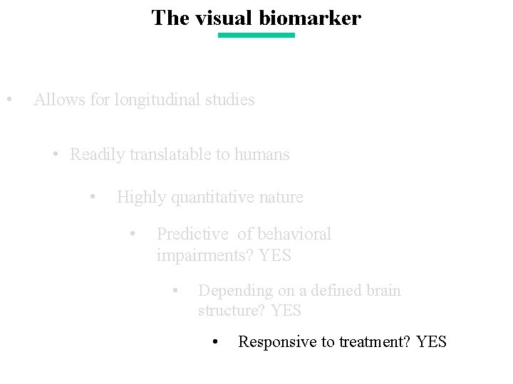 The visual biomarker • Allows for longitudinal studies • Readily translatable to humans •