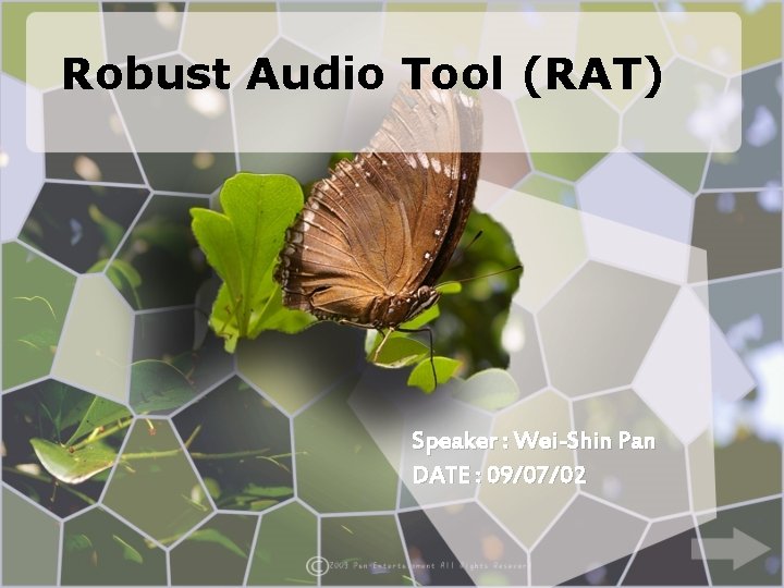 Robust Audio Tool (RAT) Speaker : Wei-Shin Pan DATE : 09/07/02 
