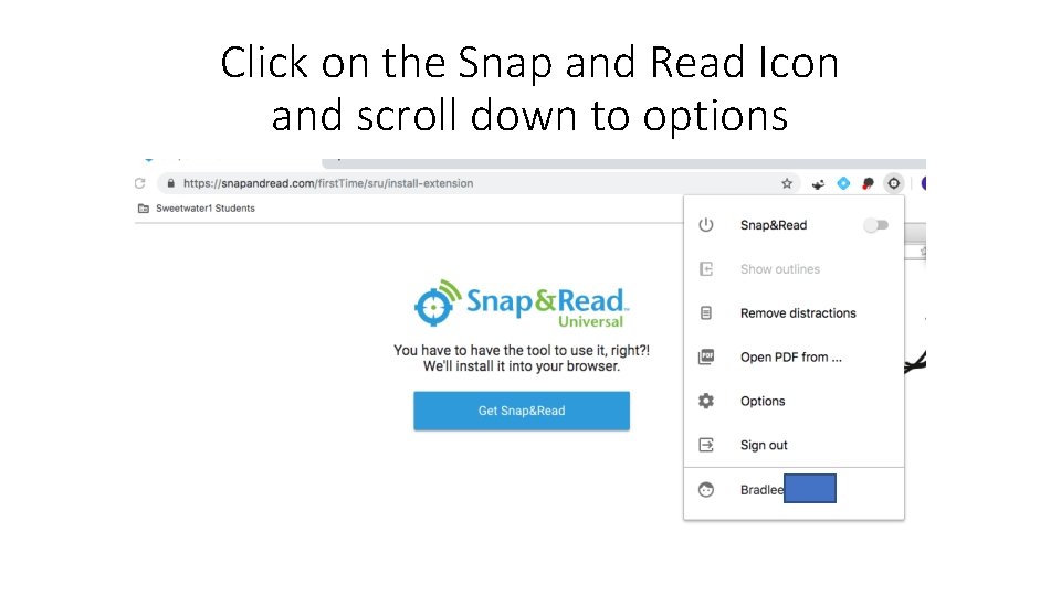 Click on the Snap and Read Icon and scroll down to options 