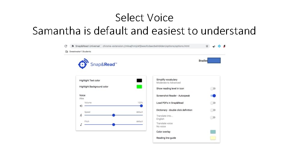 Select Voice Samantha is default and easiest to understand 