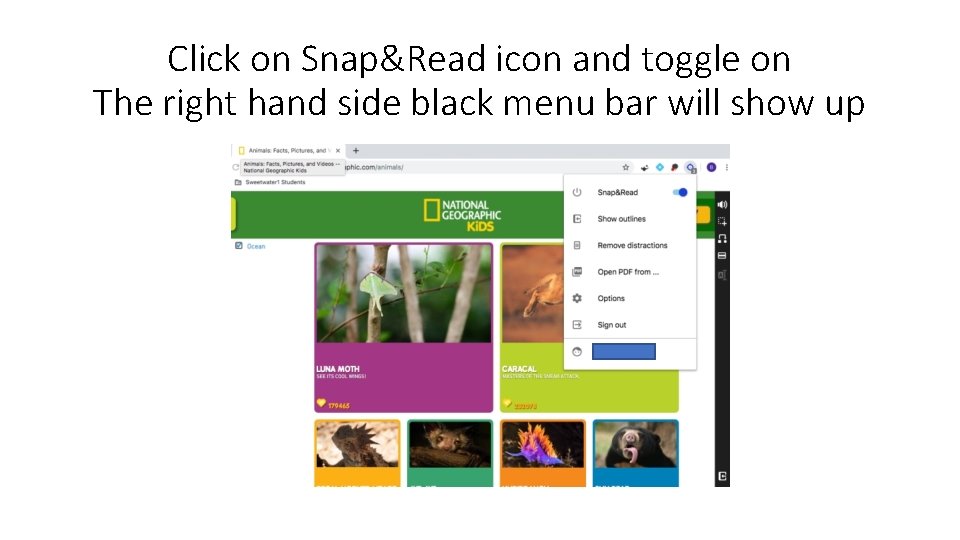 Click on Snap&Read icon and toggle on The right hand side black menu bar