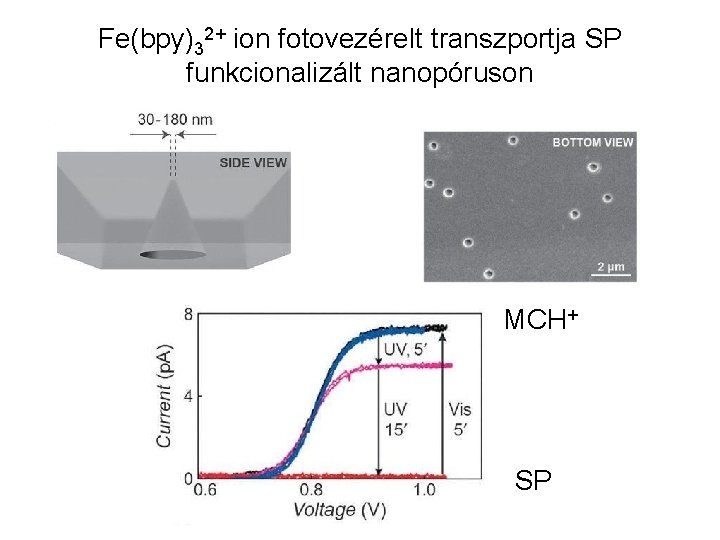 Fe(bpy)32+ ion fotovezérelt transzportja SP funkcionalizált nanopóruson MCH+ SP 
