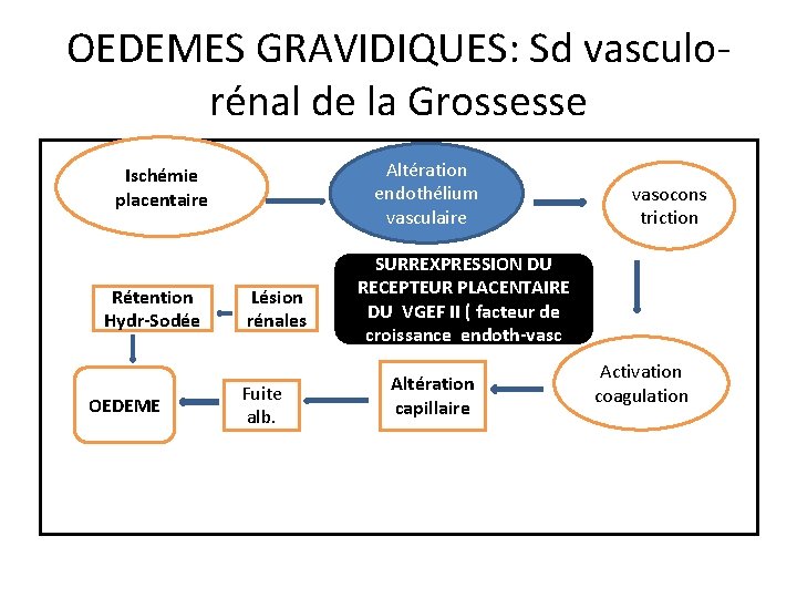 OEDEMES GRAVIDIQUES: Sd vasculorénal de la Grossesse Altération endothélium vasculaire Ischémie placentaire Rétention Hydr-Sodée