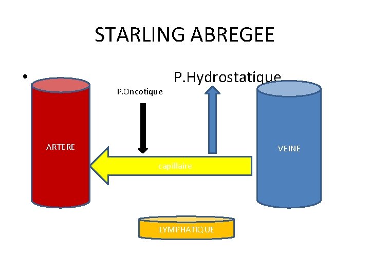 STARLING ABREGEE • P. Oncotique P. Hydrostatique ARTERE VEINE capillaire LYMPHATIQUE 