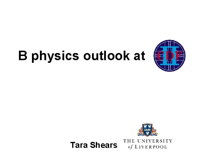 B physics outlook at Tara Shears 