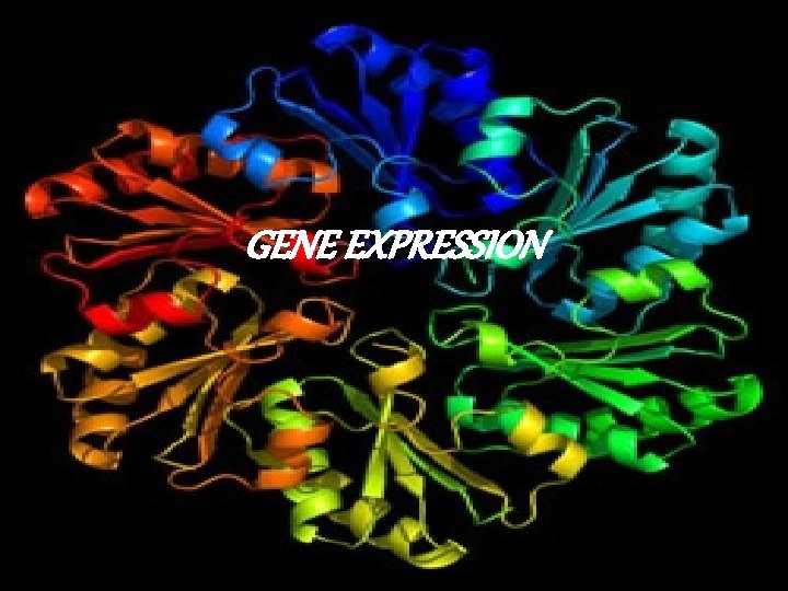 GENE EXPRESSION 