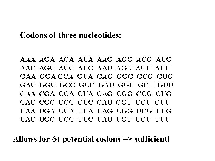 Codons of three nucleotides: AAA AGA ACA AUA AAG AGG ACG AUG AAC AGC