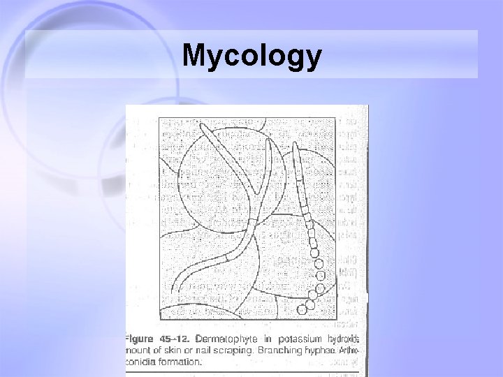 Mycology Mycology