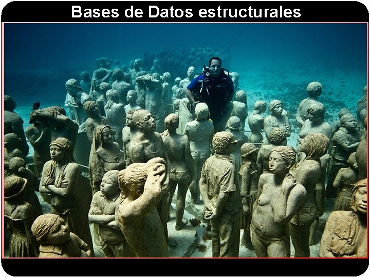 Bases de Datos estructurales 