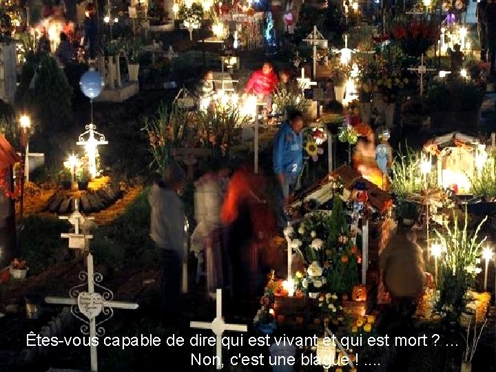 Êtes-vous capable de dire qui est vivant et qui est mort ? . . Êtes-vous capable de dire qui est vivant et qui est mort ? . .