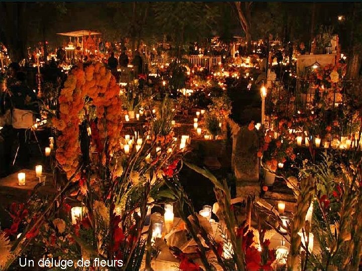 Un déluge de fleurs Un déluge de fleurs
