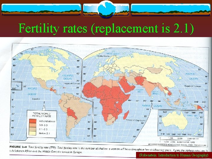 Fertility rates (replacement is 2. 1) (Rubenstein: Introduction to Human Geography) 