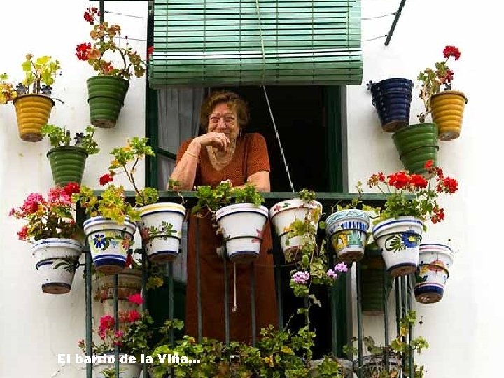 El barrio de la Viña… 