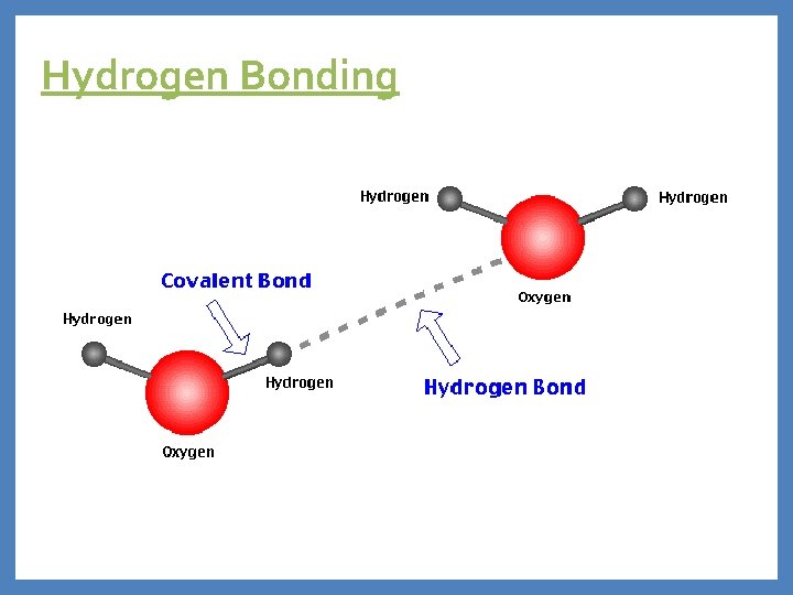 Hydrogen Bonding 