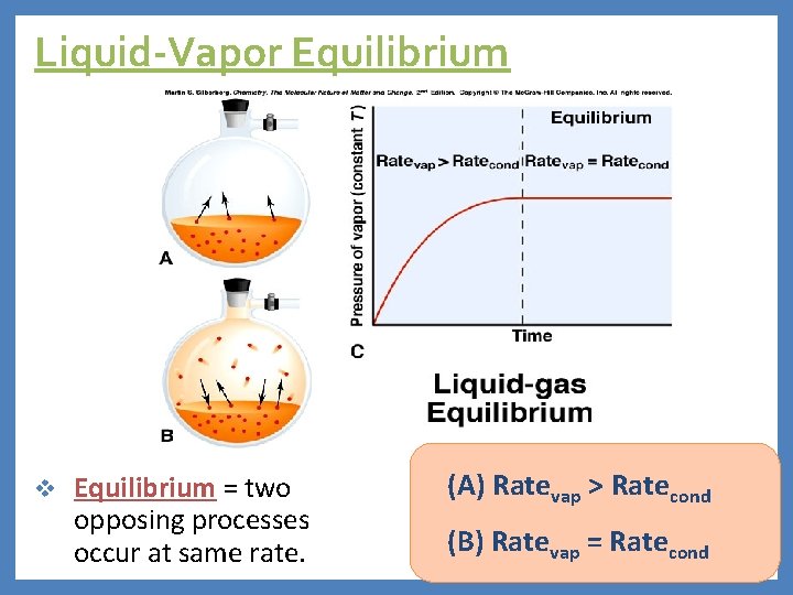 Liquid-Vapor Equilibrium v Equilibrium = two opposing processes occur at same rate. (A) Ratevap