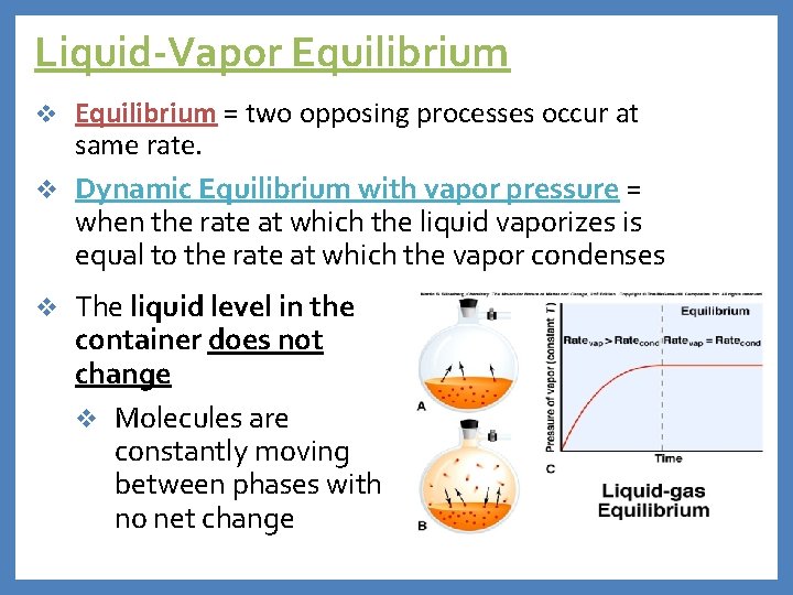 Liquid-Vapor Equilibrium = two opposing processes occur at same rate. v Dynamic Equilibrium with