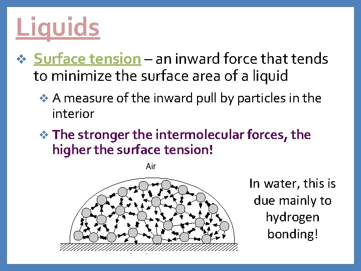 Liquids v Surface tension – an inward force that tends to minimize the surface