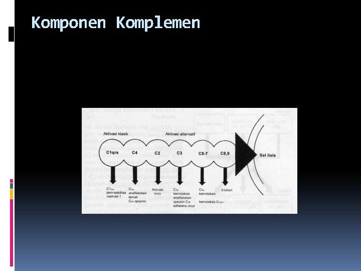 Komponen Komplemen 