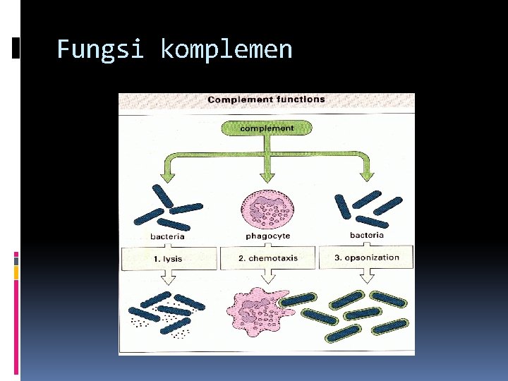 Fungsi komplemen 