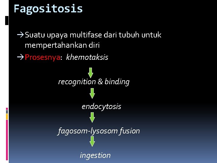 Fagositosis Suatu upaya multifase dari tubuh untuk mempertahankan diri Prosesnya: khemotaksis recognition & binding