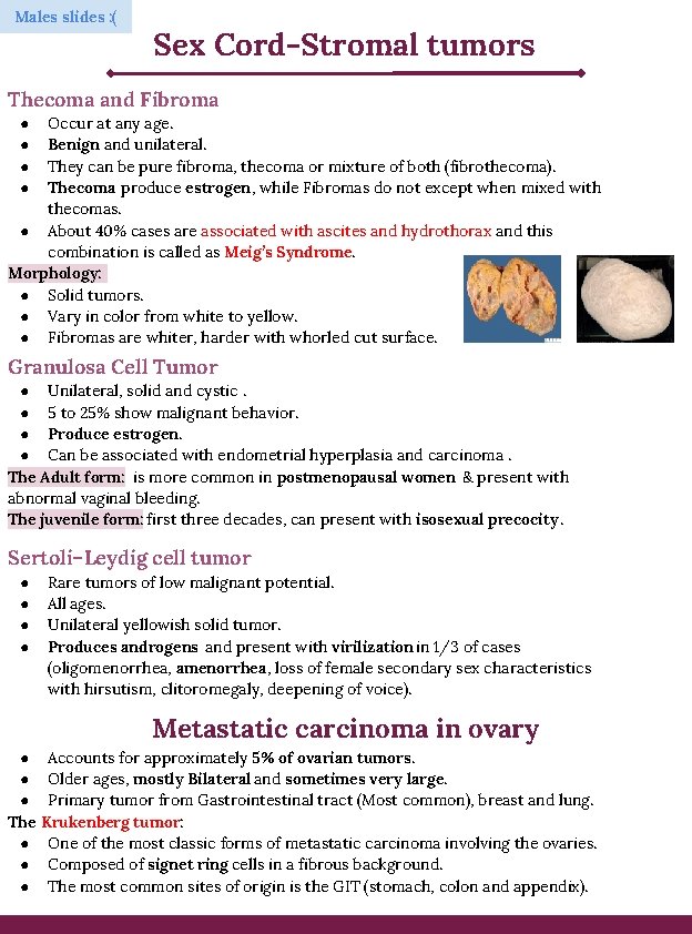 Males slides : ( Sex Cord-Stromal tumors Thecoma and Fibroma Occur at any age.