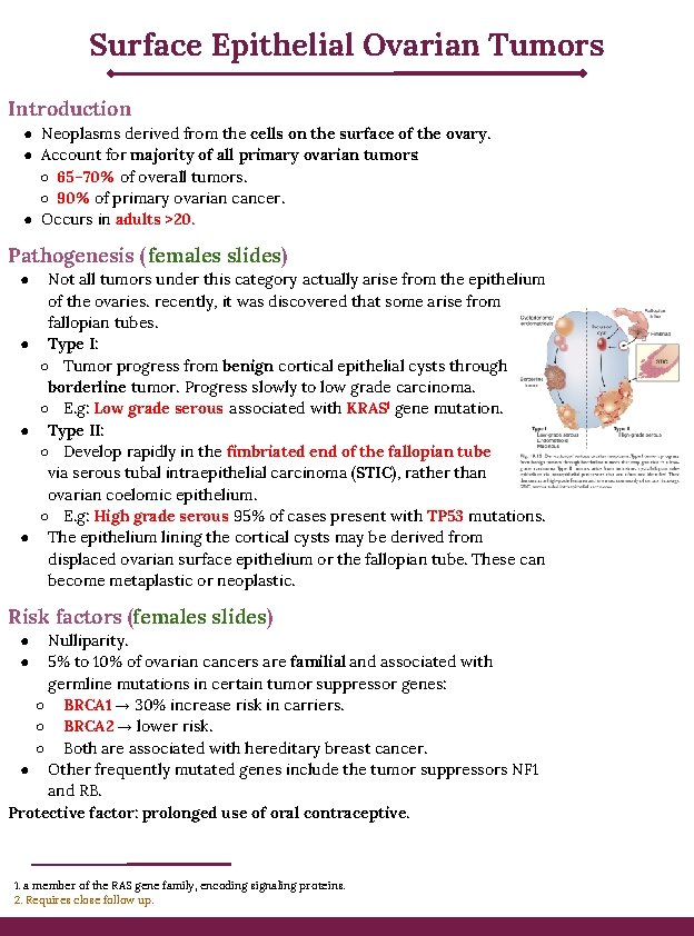 Surface Epithelial Ovarian Tumors Introduction ● Neoplasms derived from the cells on the surface