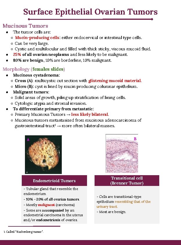 Surface Epithelial Ovarian Tumors Mucinous Tumors The tumor cells are: ○ Mucin-producing cells: either