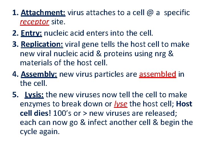 1. Attachment: virus attaches to a cell @ a specific receptor site. 2. Entry: