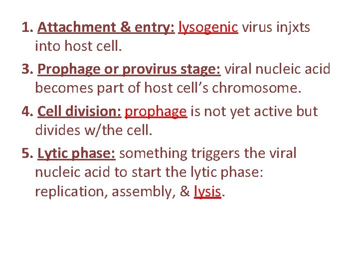 1. Attachment & entry: lysogenic virus injxts into host cell. 3. Prophage or provirus