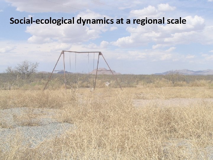 Social-ecological dynamics at a regional scale 