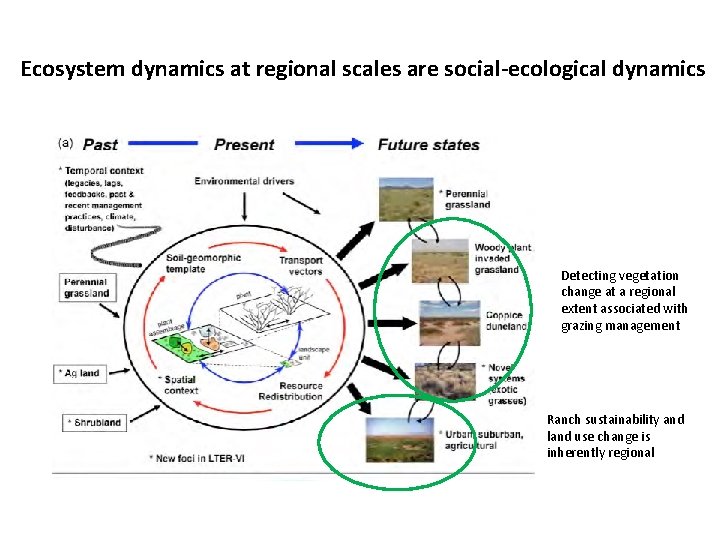 Ecosystem dynamics at regional scales are social-ecological dynamics Detecting vegetation change at a regional