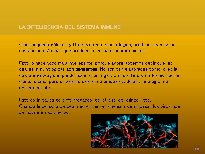 LA INTELIGENCIA DEL SISTEMA INMUNE Cada pequeña célula T y B del sistema inmunológico,