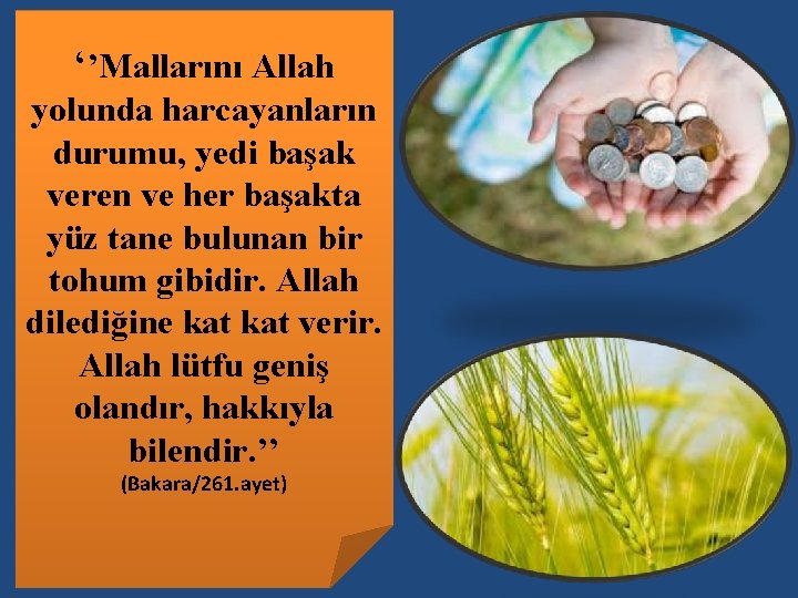 ‘’Mallarını Allah yolunda harcayanların durumu, yedi başak veren ve her başakta yüz tane bulunan ‘’Mallarını Allah yolunda harcayanların durumu, yedi başak veren ve her başakta yüz tane bulunan