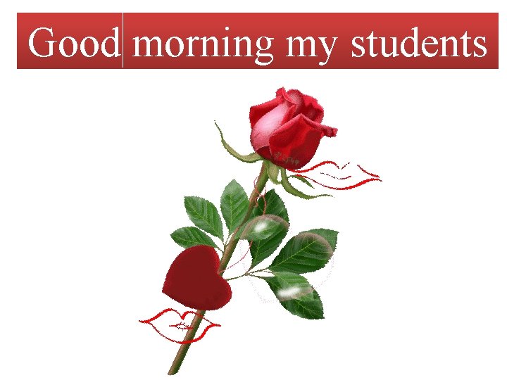 Good morning my students 