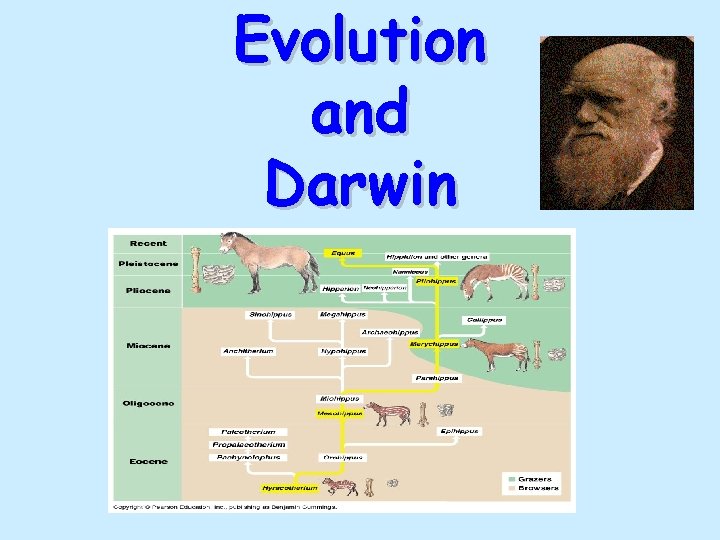 Evolution and Darwin What is evolution X A