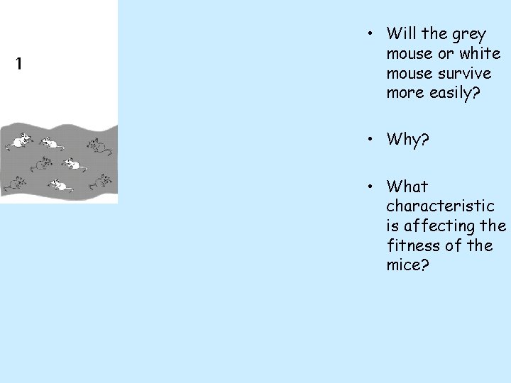  • Will the grey mouse or white mouse survive more easily? • What