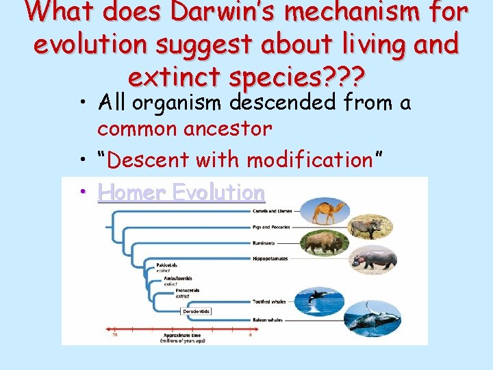 What does Darwin’s mechanism for evolution suggest about living and extinct species? ? ?