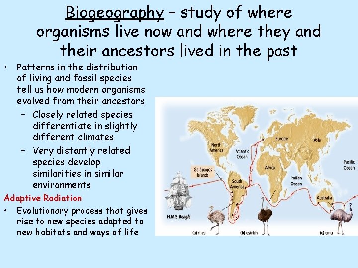 Biogeography – study of where organisms live now and where they and their ancestors