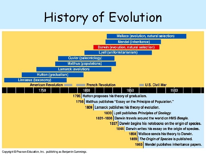 History of Evolution 