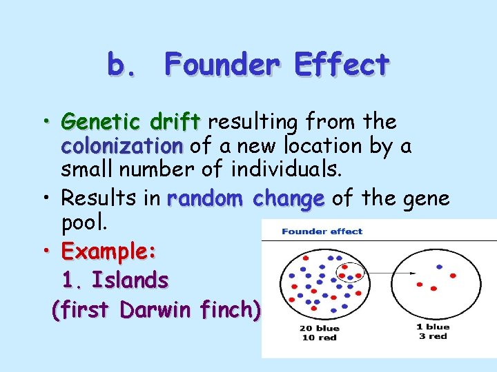 b. Founder Effect • Genetic drift resulting from the colonization of a new location