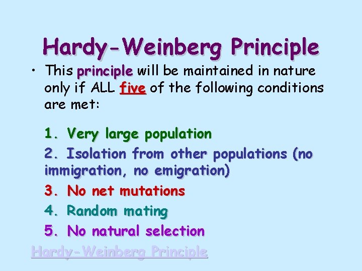 Hardy-Weinberg Principle • This principle will be maintained in nature only if ALL five