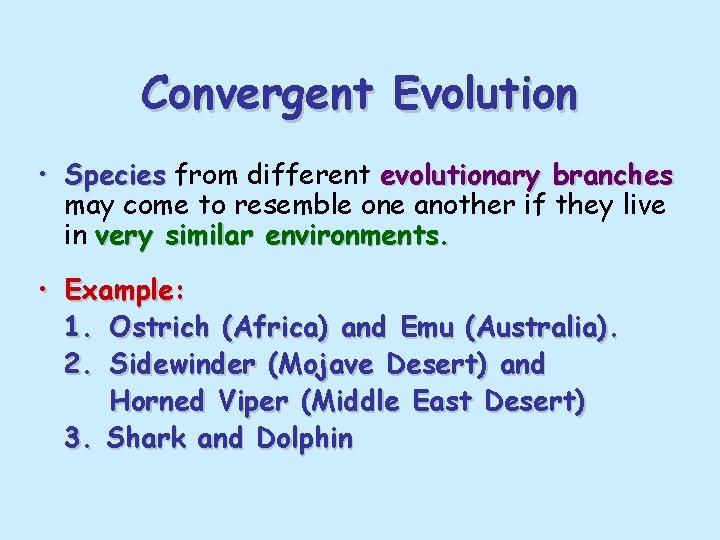 Convergent Evolution • Species from different evolutionary branches may come to resemble one another